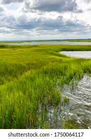 Marshy Grass On Bear Island In NC Before A Storm