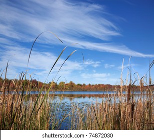 A Marshy Lake Under Brush Stroke Clouds, Lake Sixteen During Autumn, Oakland County Michigan. USA