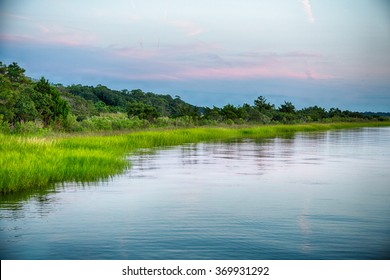The marshy shores of the Cape Fear River. Fort Fisher Air Force Recreation Area, North Carolina.
