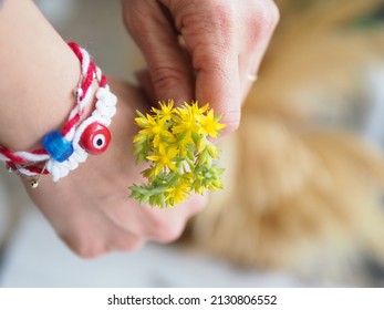 Martenichka Spring Feast Flowers Daisy 