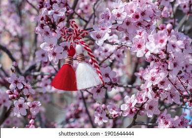 Martenitsa on blossoming tree - symbol of beginning of spring. Decorations made of red and white thread are presented in Bulgaria on 1st of March holiday. Spring background with pink bloom. Copy space