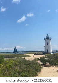 Martha's Vineyard Coastline And Lighthouse