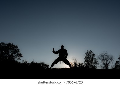 Martial Artists Silhouette - Knife Block - Powered by Shutterstock