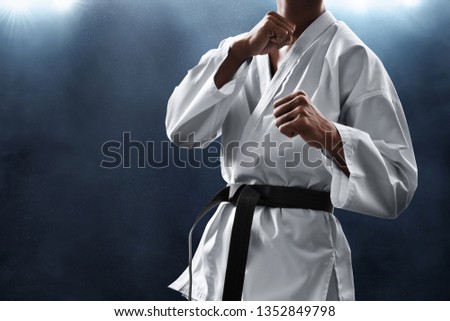 Martial arts fighter