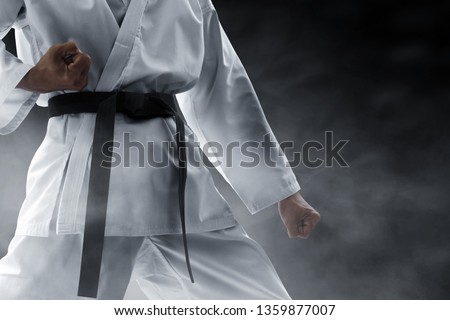 Martial arts fighter