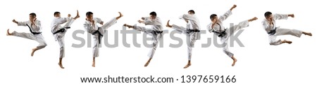 Martial arts masters, karate practice. Isolated on white background