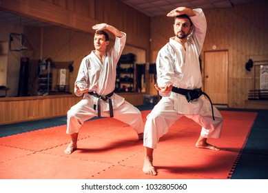 Martial Arts Masters Training Combat Skill