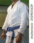 martial arts in this case jiu jitsu where you can see details of the kimono, blue belt, sweeps, grips...