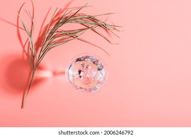 Martini With Ice Elegant Glass Against A Pink Background A Branch Palm Plant. Fashionable Bright Direct Flash Light