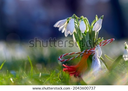 Martisor and snowdrops on wooden floor. 1st of March Romanian eastern european spring tradition to offer such gifts to loved ones. Martisoare, symbols of the beginning of spring