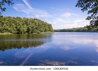 Martwa Natura Hd Stock Images Shutterstock