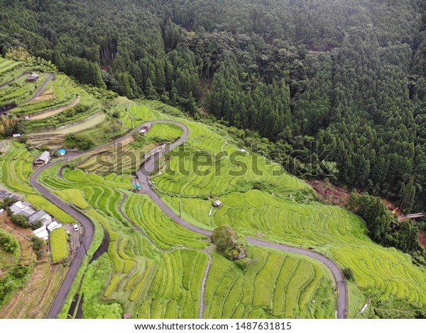 Maruyama Senmaida Kumano Mie Prefecture Japan Stock Photo Edit Now