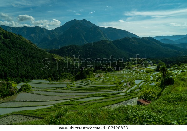 Maruyama Senmaida Rice Rice Terraces Japan Stock Photo Edit Now