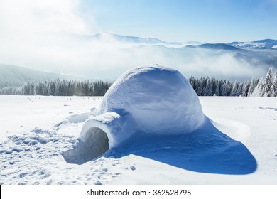 147 Trace Igloo Images, Stock Photos & Vectors | Shutterstock