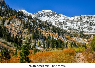 Mary Ellen Gulch At Snowbird