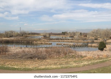 Mary Lake, Rocky Mountain Arsenal National Wildlife Refuge, Commerce City, Colorado