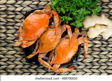 Maryland Blue Crabs. Steamed Crabs With Ginger. Crab Festival.