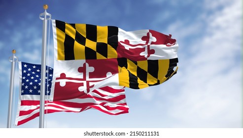 The Maryland state flag waving along with the national flag of the United States of America. In the background there is a clear sky. Maryland is a state in the Mid-Atlantic region of the United States
