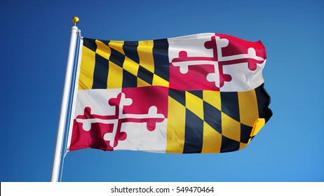 Maryland (U.S. state) flag waving against clear blue sky, close up, isolated with clipping path mask alpha channel transparency, perfect for film, news, composition