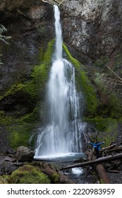 Marymere Falls And A Spectator, Olympic Peninsula, WA, USA