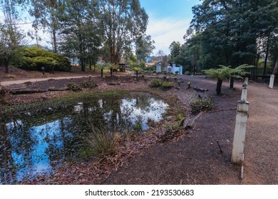 Marysville Bushfire Memorial Near Remembering Black Saturday Victims In Marysville, Victoria, Australia