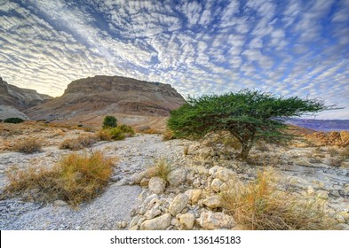 Masada In The Desert Of Israel