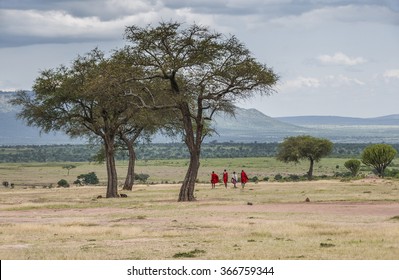 Masai Mara