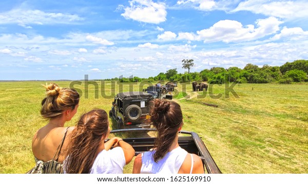 MASAI MARA, KENYA, January, 2019:: Tourists in\
all-terrain vehicle exploring the elephants in Masai Mara, Kenya in\
safari drive.