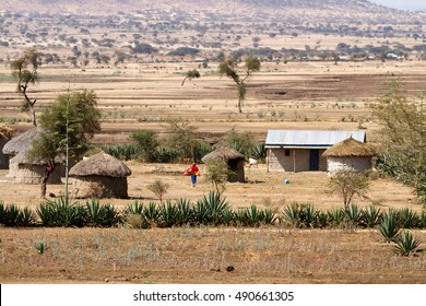 Masai Tribe Huts In Tanzania