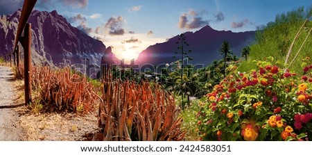 Masca valley.Canary island.Tenerife.Scenic mountain landscape.Cactus,vegetation and sunset panorama in Tenerife.