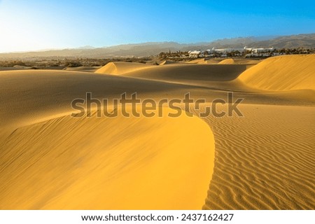 The Maspalomas Dunes of Gran Canaria are safeguarded and provide a habitat for uncommon flora, fauna, and avifauna. The dunes constantly transform and reshape due to the wind.