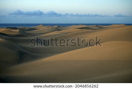 Maspalomas Dunes Nature Reserve, Maspalomas, Las Palmas, Gran Canaria