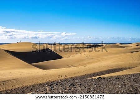 Maspalomas Sand Dunes, Dunas de Maspalomas on the south coast of the island of Gran Canaria, Canary Islands, Spain