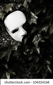 Masquerade - Phantom Of The Opera Mask On Ivy Wall