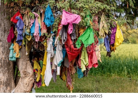 mass of colorful ribbons and cloths on a tree in india as culutre and religious reasons