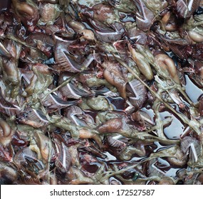 A Mass Of Fish Guts