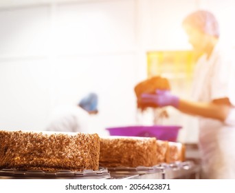 Mass Production Of Cakes And Sweets At The Confectionery Factory. Chefs Make Cakes Of Fresh Berries And Biscuit, Food Industry