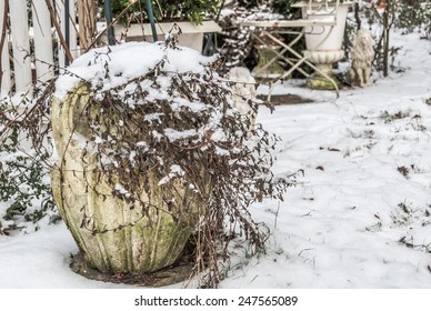 Mass production concrete planter with faded plant covered with snow in a garden 
Closeup Garden view in winter covered with snow for book cover, brochure, flyer, magazine, CD cover design, website - Powered by Shutterstock