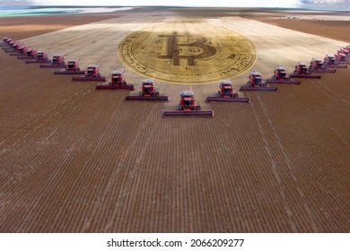 Mass soybean harvesting at a farm in Mato Grosso state,Brazil. Concept bitcoin wirh agribusiness. and commodities.
