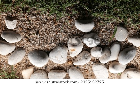 a mass of white stones in the light