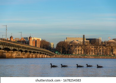 Massachusetts Institute Of Technology And Charles River, Boston, Massachusetts, United States Of America. 