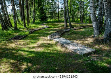 Massage path with different textures, flatfoot prevention, natural tactile sensory path, stones, logs, fir cones. Health path in nature. - Powered by Shutterstock