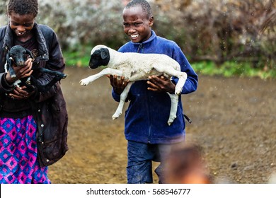 Massai Children Carrying Goats In The Rain