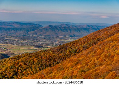 Massanutten Mountain In Autumn, Shenandoah National Park, Virginia, USA