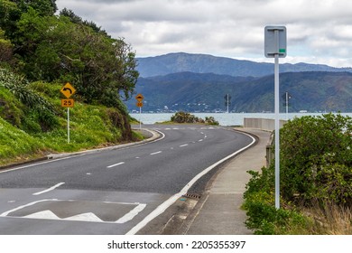 Massey Road At Scorching Bay Beach In Wellington, New Zealand