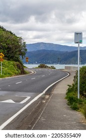 Massey Road At Scorching Bay Beach In Wellington, New Zealand