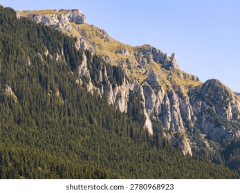 Ceahlău massif featuring rugged limestone cliffs and dense fir forest under clear skies