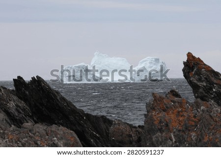 Massive arctic iceberg grounded in the shallow waters of Hay Cove, Newfoundland