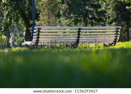 massive bench in the city Park on a summer day