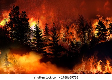 Massive California Wilde fire forcing thousands of people to evacuate their homes, wildfires spreading rapidly, escaping to save their lives, destroyed silhouette, natural calamity, global warming.